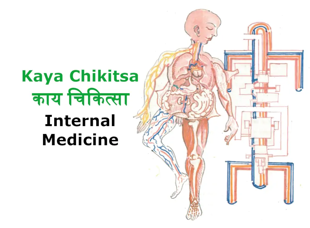 internal-medicine